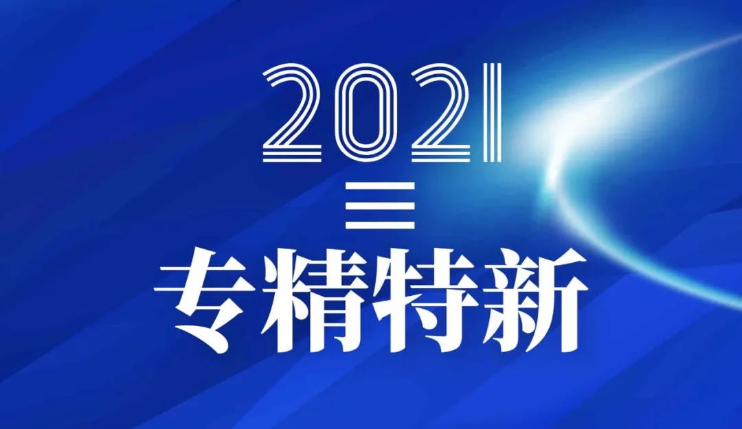 动向国际入选 2021 年北京市“专精特新”中小企业