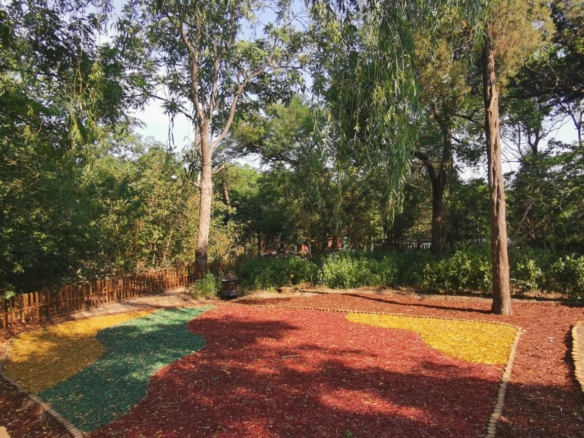 动向国际承建的北京大学-燕园街道社区堆肥实验基地正式落成